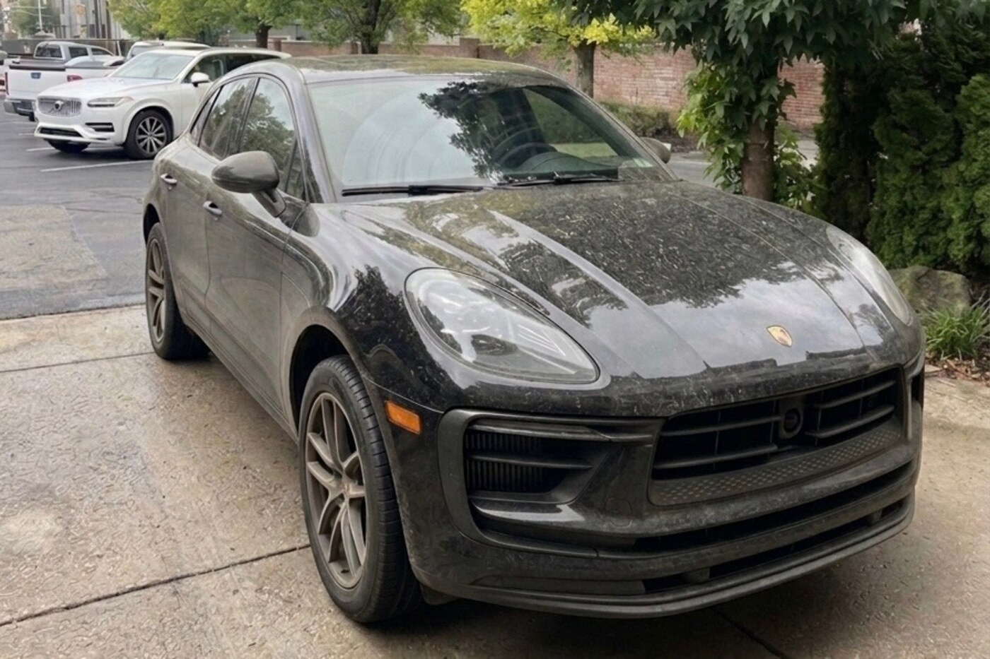 Before Apex Detailing